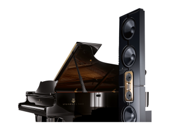 Steinway Lyngdorf Model D Passive Speaker right Ebony Black Lacquer  - 5